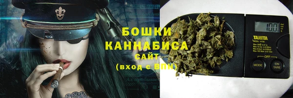 прущие грибы Белоозёрский