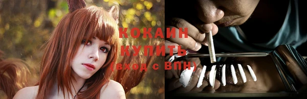 прущие грибы Белоозёрский