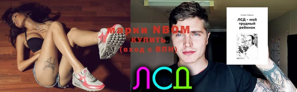 прущие грибы Белоозёрский