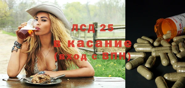 прущие грибы Белоозёрский