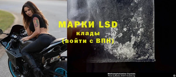прущие грибы Белоозёрский